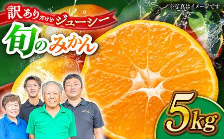 【先行予約】【訳あり】家庭用 みかん 約5kg 詰め合わせ 柑橘【合同会社 社方園】[ZBZ021]