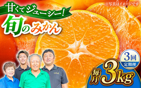 【先行予約】【3回定期便】みかん 約3kg 詰め合わせ 柑橘【合同会社 社方園】[ZBZ022]