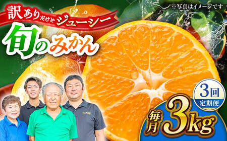 【先行予約】【3回定期便】【訳あり】家庭用 みかん 約3kg 詰め合わせ 柑橘【合同会社 社方園】[ZBZ023]