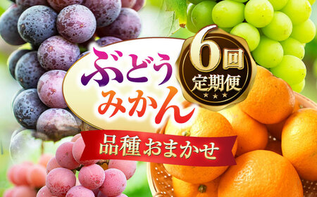 【先行予約】【6回定期便】品種おまかせ みかん・ぶどう 定期便【合同会社 社方園】[ZBZ025]