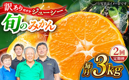 【先行予約】【2回定期便】【訳あり】家庭用 みかん 約3kg 詰め合わせ 柑橘【合同会社 社方園】[ZBZ033]