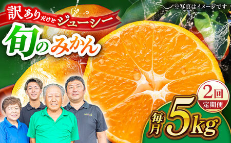 【先行予約】【2回定期便】【訳あり】家庭用 みかん 約5kg 詰め合わせ 柑橘【合同会社 社方園】[ZBZ034]