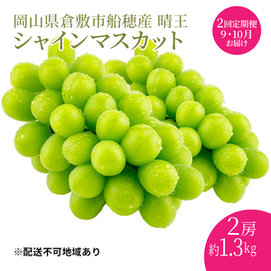 ぶどう 2026年 先行予約 【プレミアムシャインマスカット 晴王 2房 合計約1.3kg 定期便 2回】船穂産 赤秀品以上 岡山県産 葡萄 ブドウ ギフト ハレノフルーツ 皮ごと食べる みずみずしい 