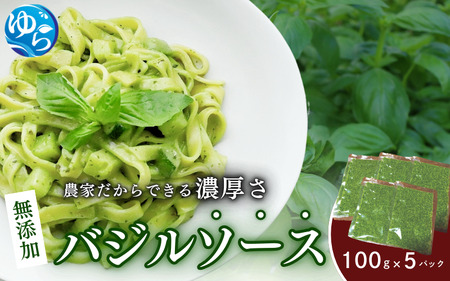 農家だからできる濃厚『無添加　バジルソース』 パック 100ｇ×5【fmlb045】