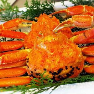 【先行予約】松葉ガニ（ボイル）2枚【年内配送】※着日指定不可|松葉ガニ