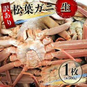 先行予約 訳あり 松葉ガニ 生 1枚（約500g） 年明け配送 ※着日指定不可※北海道、沖縄、一部離島への配送不可 松葉がに