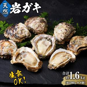 【先行予約 2026年6月以降発送】天然 岩ガキ 約 200 g × 8 個　※北海道、沖縄、一部離島への配送不可