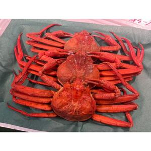 （訳あり）紅ズワイガニ（ボイル）（ 3 ～ 4 枚 ）※着日指定不可※北海道、沖縄、一部離島への配送不可 紅ズワイガニ