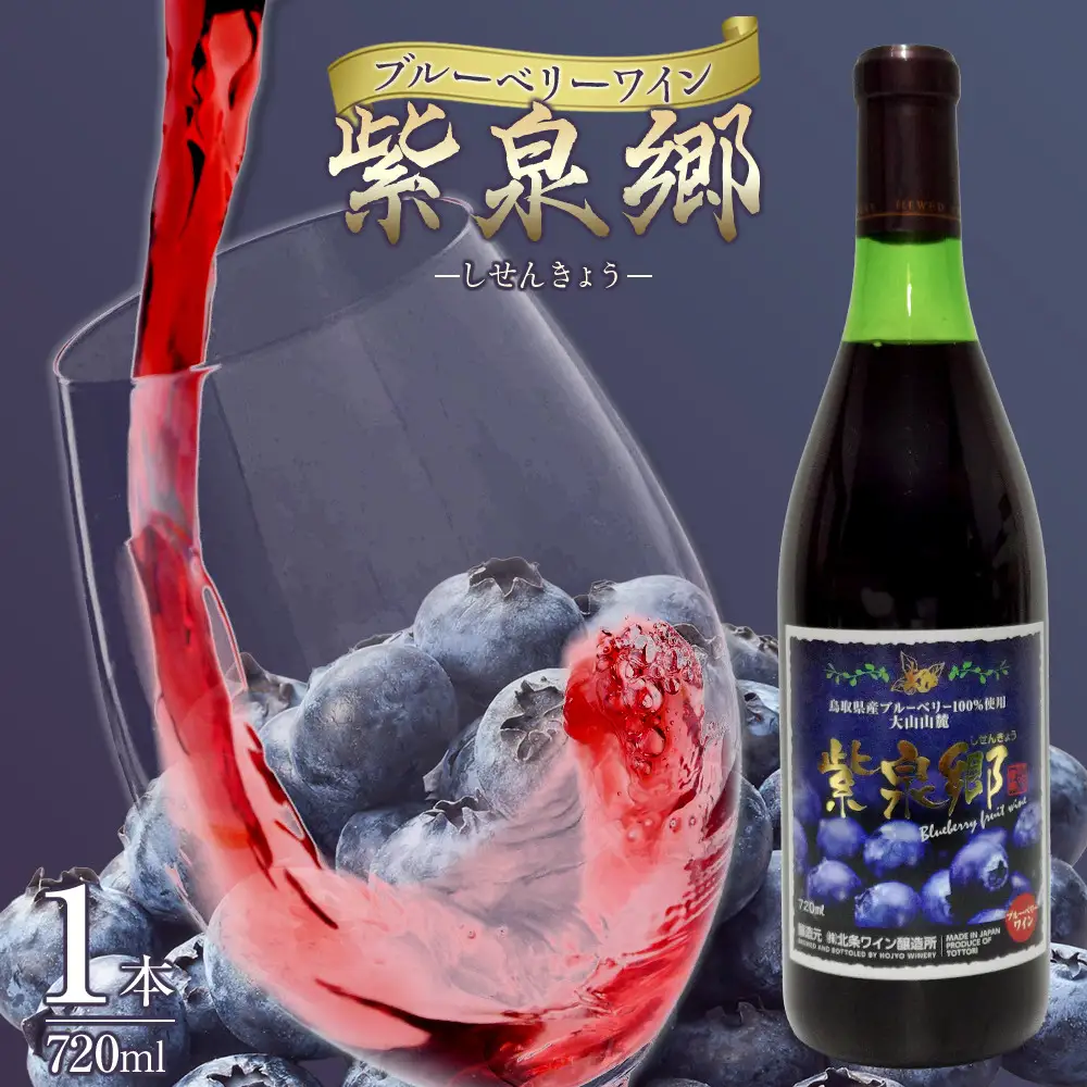 酒 ワイン ブルーベリーワイン 紫泉郷（しせんきょう） 1本 （ 720ml ）