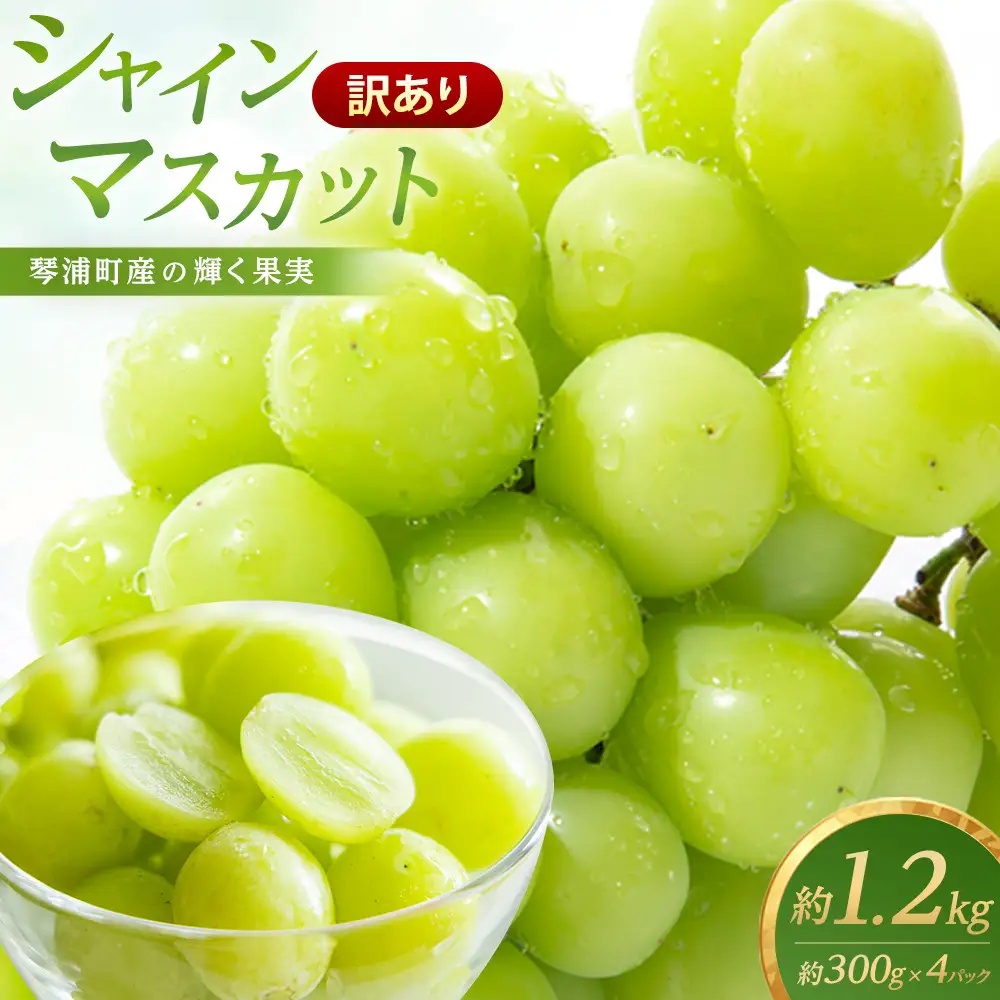 【先行予約】訳あり　琴浦町産シャインマスカット（粒パック）1.2kg