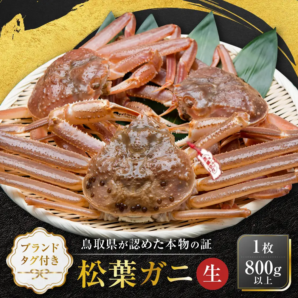 【先行予約】松葉ガニ ブランド タグ付き 生 1枚 800g 以上 年明け 配送 松葉がに