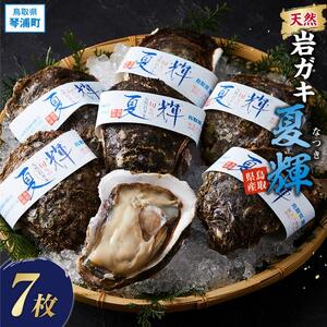 【先行予約 2026年6月以降発送】 天然 岩ガキ ( 夏輝 ) 7 枚 岩ガキ