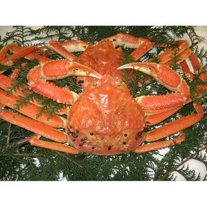 【先行予約】【訳アリ】松葉ガニ（ボイル）2枚（計1.6kg以上）【年内配送】|松葉ガニ