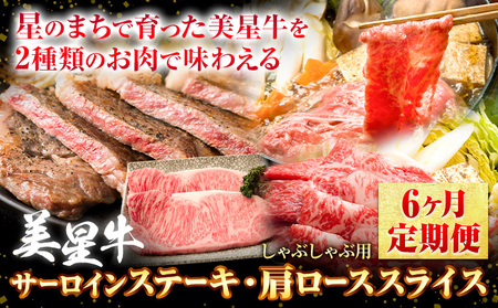 【6ヶ月定期便】美星牛 定期便 ハレノヒ良品 牛肉