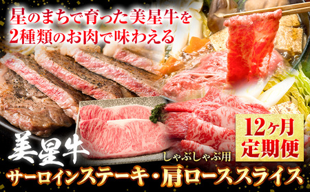 【12ヶ月定期便】美星牛 定期便 ハレノヒ良品 牛肉