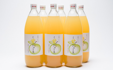 【レビューキャンペーン】青森県産りんごジュース 1L×6本　吹田りんご園[hi-0010-001]