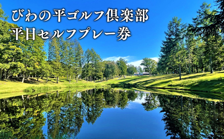 【レビューキャンペーン】平日 びわの平ゴルフ倶楽部 プレー券[hi-0018-002]