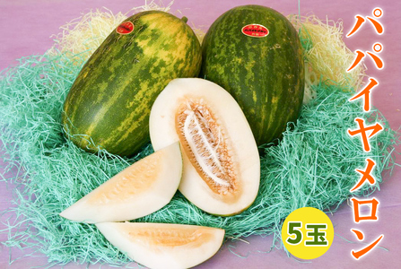 印西の特産品 パパイヤメロン 5玉｜フルーツ 果物 ギフト 旬 期間限定 数量限定 [0500]