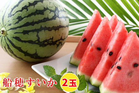印西の特産品 船穂すいか 2玉｜スイカ フルーツ 果物 ギフト 旬 期間限定 数量限定 [0421]