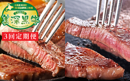 北海道産 黒牛ステーキセット定期便（リブロース180g×2・サーロイン180g×2）【こだわりの美深黒牛】 お肉 牛肉 