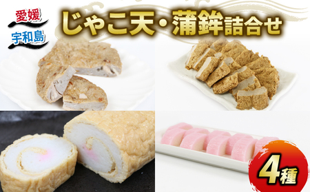 練り物 4種詰合せ 野中かまぼこ店 練り物 C020-014004
