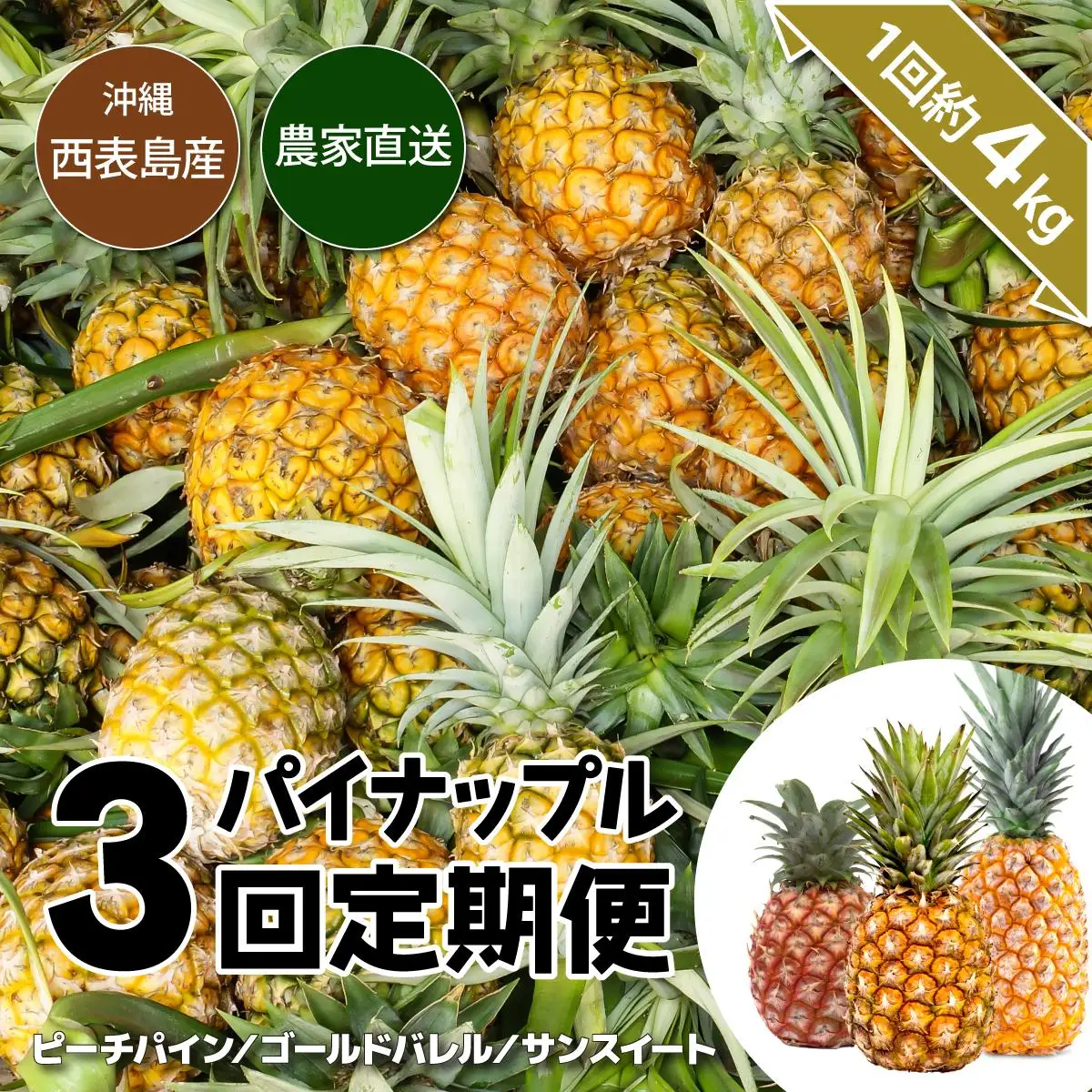 【（全3回発送）】南国の美味しさを！パイナップル 定期便 B