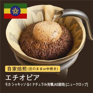 【粉】#123 モカ シャキッソ G1 コーヒー豆 310g 当日焙煎 大山珈琲