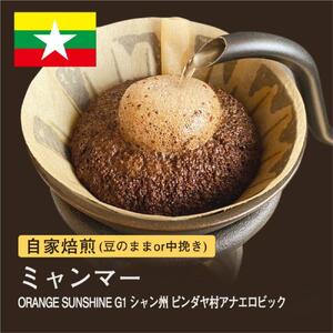 【粉】#180 ミャンマー ORANGE SUNSHINEG1 コーヒー豆 310g 当日焙煎 大山珈琲