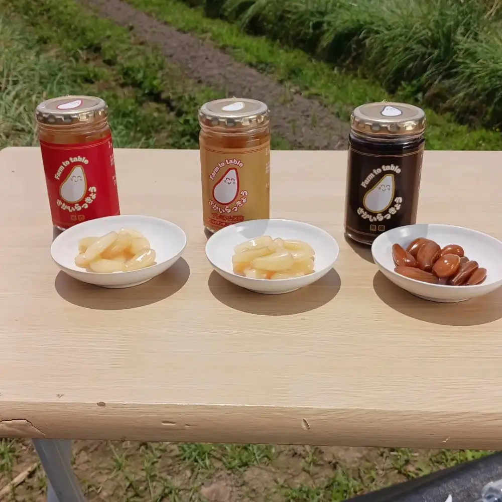 天使のさかいらっきょう 3種セット（プレミアム米酢・米酢・黒糖）