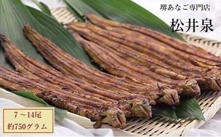 堺あなご専門 松井泉　あなご屋社長におまかせ 焼あなご 約750g（7～14尾）