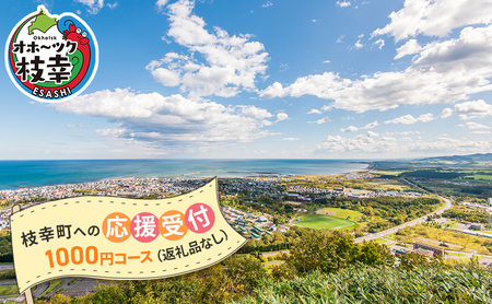 北海道枝幸町 寄附のみの応援受付 1,000円コース（返礼品なし 寄附のみ 1000円）【 自治体支援 自治体応援 お礼の品なし ふるさと支援 ふるさと応援 まちづくり 子育て 教育福祉 北海道 オホーツク 枝幸 】
