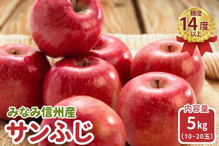 JA15 りんご サンふじ 約5kg / 2026年11月下旬～12月上旬ごろ配送予定 // 長野県 南信州 贈答 ギフト お歳暮 ふじ フジ さんふじ 新鮮 林檎 リンゴ サンフジ