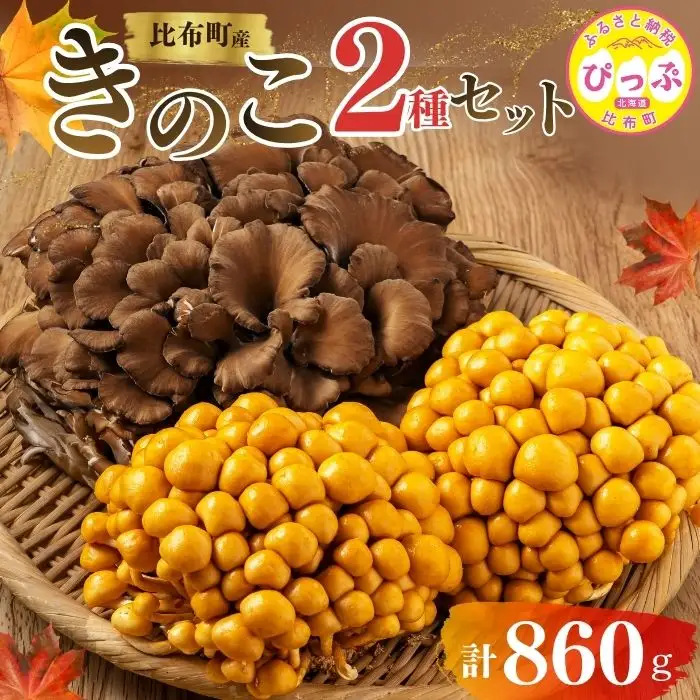 きのこ2種セット 計860g ジャンボまいたけ 500g なめこ 180g×2【北海道きのこ品評会 最優秀賞受賞】【遠藤農産】きのこ キノコ セット 詰め合わせ 舞茸 滑子 国産 北海道産 北海道 比布町 ぴっぷ 1002-001