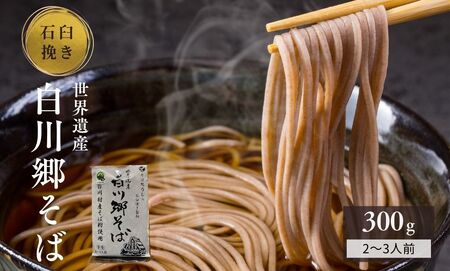 世界遺産白川郷そば 2～3人前 300g 1袋 蕎麦 ソバ そば 半生そば 年越しそば 年末 ざるそば 麺 常温保存 岐阜県 白川村 4000円 [S752]