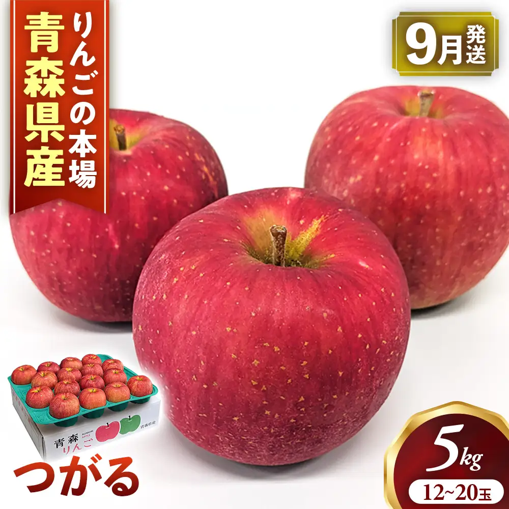 青森県産りんご つがる 約5kg りんご 9月～