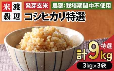 【令和7年産】発芽玄米 コシヒカリ「特選」特別栽培米使用 3kg×3袋（計9kg）【米 こしひかり 玄米 ギャバ GABA 特別栽培 食物繊維 栄養 真空パック ごはん ご飯 おいしい ふるさと納税米】 [E-2928] 