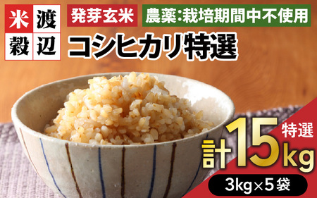 【令和7年産】発芽玄米 コシヒカリ「特選」特別栽培米使用 3kg×5袋（計15kg）【米 こしひかり 玄米 ギャバ GABA 特別栽培 食物繊維 栄養 真空パック ごはん ご飯 おいしい ふるさと納税米】 [H-2909]