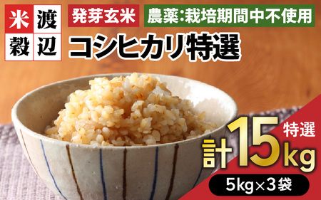 【令和7年産】発芽玄米 コシヒカリ「特選」特別栽培米使用 5kg×3袋（計15kg）【米 こしひかり 玄米 ギャバ GABA 特別栽培 食物繊維 栄養 真空パック ごはん ご飯 おいしい ふるさと納税米】 [H-2910]