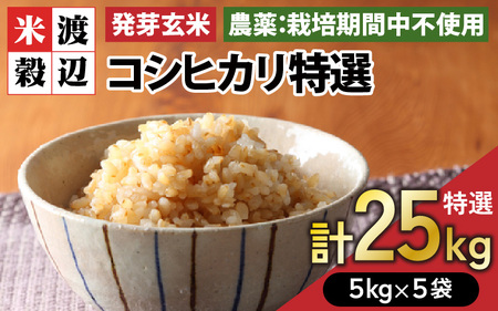 【令和7年産】発芽玄米 コシヒカリ「特選」特別栽培米使用 5kg×5袋（計25kg）【米 こしひかり 玄米 ギャバ GABA 特別栽培 食物繊維 栄養 真空パック ごはん ご飯 おいしい ふるさと納税米】 [K-2910]