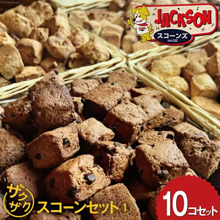 ザクザク スコーン オススメ10コセット(1) (プレーン チョコチップ 発酵バター キャラメルコーヒー ホワイトチョコクランベリー)各2個 計10個[JACKSONスコーンズ 高知県 津野町 26ab0001]