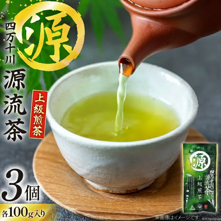 緑茶 銘茶の里 四万十川源流茶〈上級煎茶〉100g入り×3個 [JA高知県高西営農経済センター津野山経済課 高知県 津野町 26ah0001]