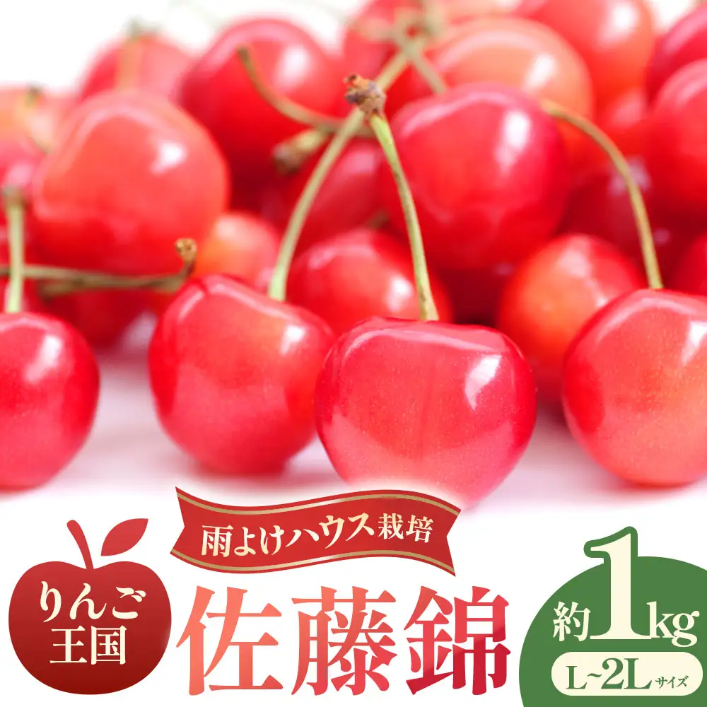 さくらんぼ 佐藤錦 1kg 青森 さくらんぼ 先行予約
