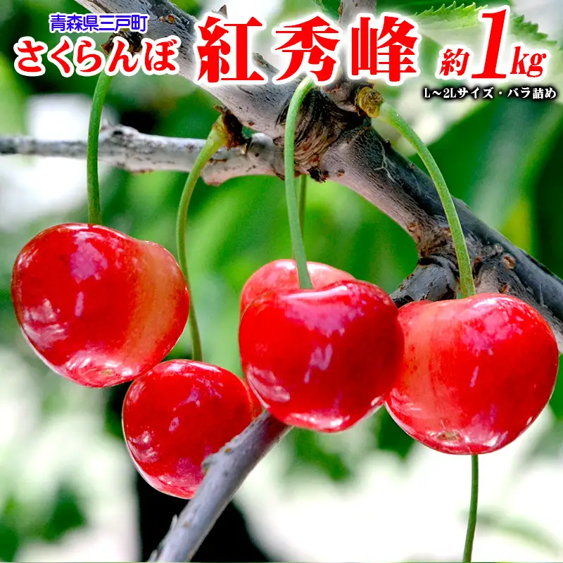 さくらんぼ 紅秀峰 約1kg 6月下旬～