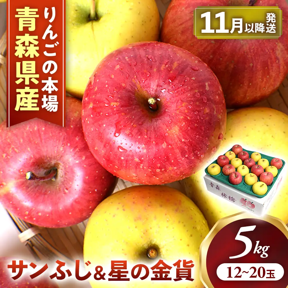 青森県産りんご サンふじ＆星の金貨 セット 約5kg 11月中旬～