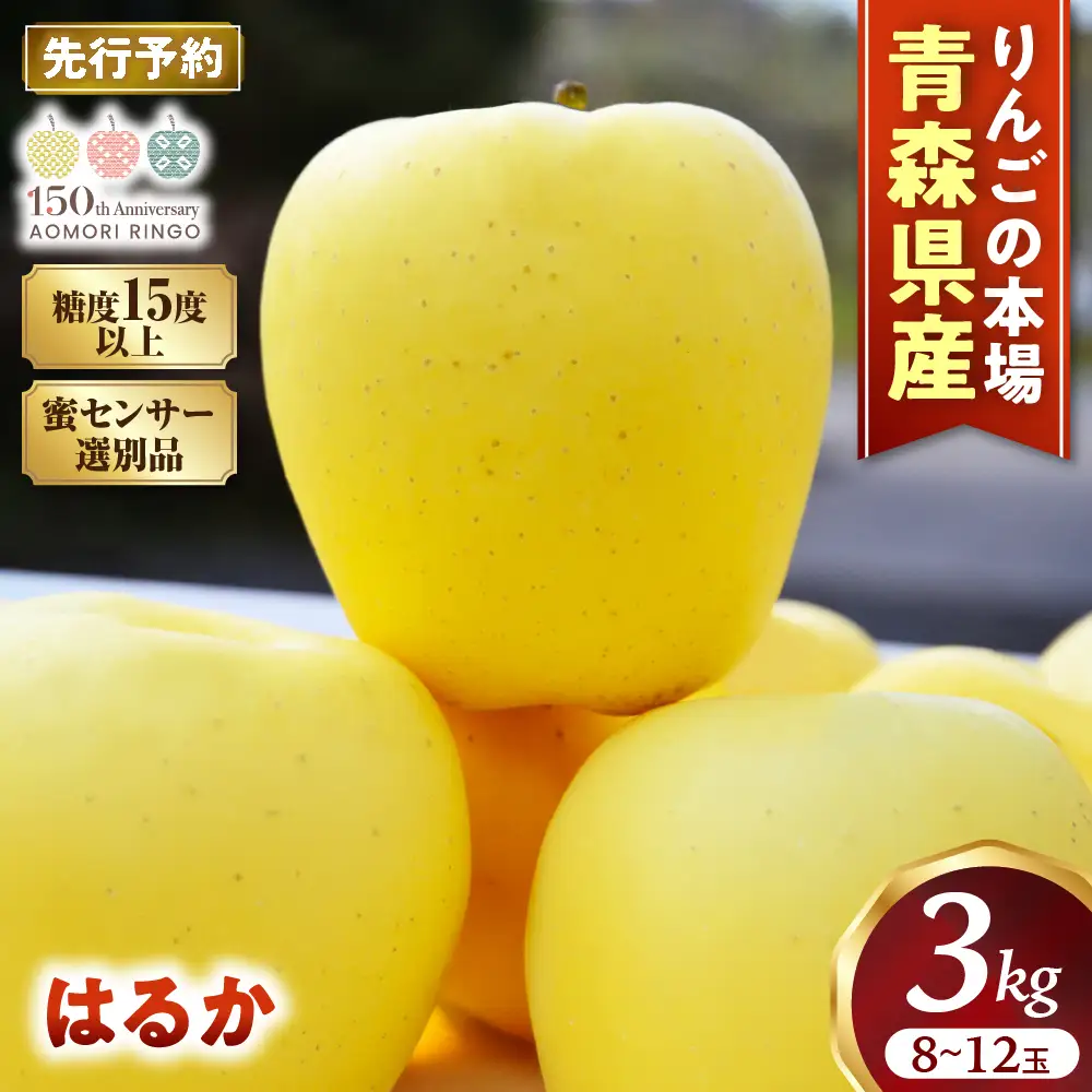 蜜センサー選別 高級りんご 青森県産 はるか 約3kg 12月上旬～ りんご