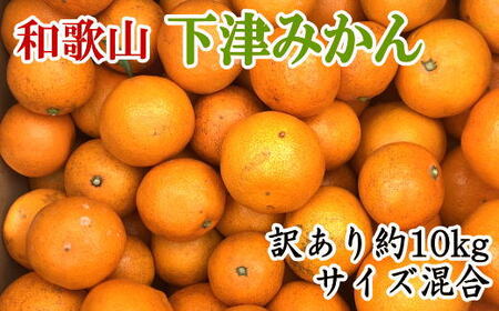 【訳あり】和歌山下津みかん約10kgご家庭用向け(サイズ混合) 【2026年11月中旬～2027年1月中旬頃に順次発送】［TM78］【TM92042-tec885A】