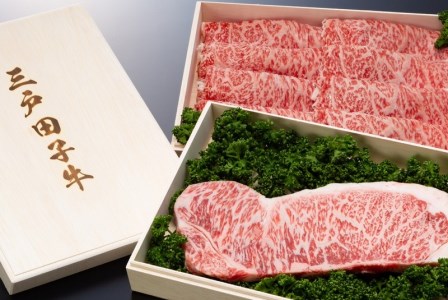 国産和牛 リブロース 460g & サーロイン 200g 黒毛和牛 「三戸・田子牛」