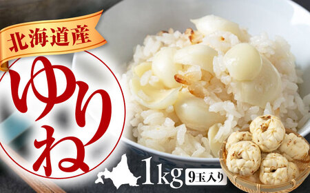 【11月中旬以降順次発送】ゆり根 1kg ( 9玉・ギフト箱入り) [AJAK018]