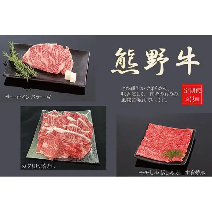 【定期便全3回】熊野牛 極上定期便セットB（1カ月に1回お届け）（全3ヵ月）［MG48］