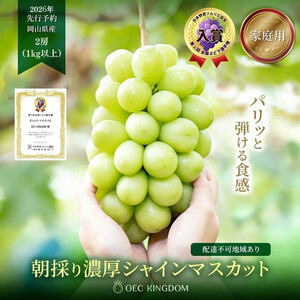 ぶどう 2026年 ［ご家庭用］ シャイン マスカット 2房（合計1kg以上）【第1回全国ぶどう選手権入賞】｜ シャインマスカット
